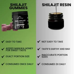 Natural Shilajit Gummies